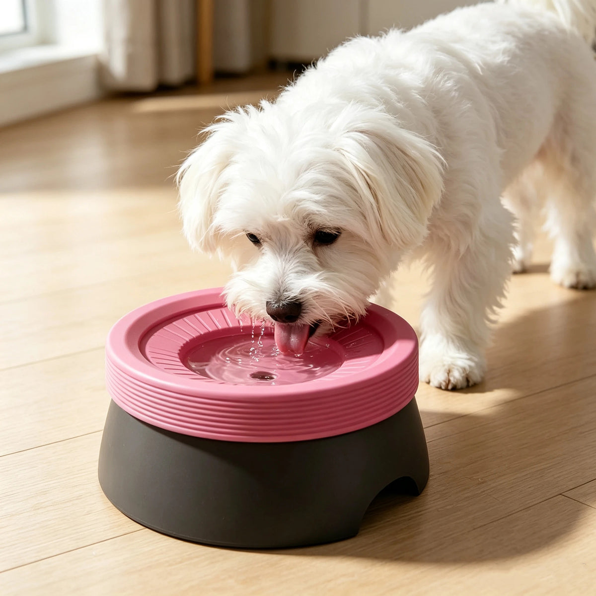 Anti‑Splash Floating Pet Water Bowl for Dogs and Cats